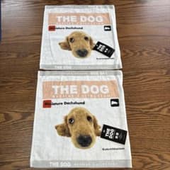 DOG in the PWO タオル&CDセット⭐︎メルカリ市につきお値下げ中 THE DOG ミニチュアダックスフンド タオルハンカチ 2枚セット 平成