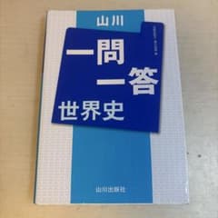 山川 一問一答 世界史のサムネイル