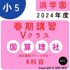 浜学園 小5 春期講習 Vクラス 4教科 復習テスト 2024年度 - メルカリ