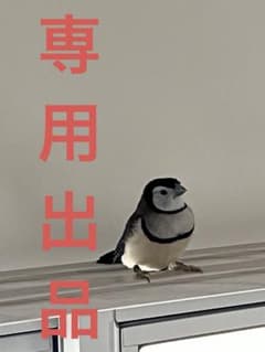 YOIOKAIMONO様専用 ヘパリーゼW プレミアム　100ml×10本×5箱のサムネイル