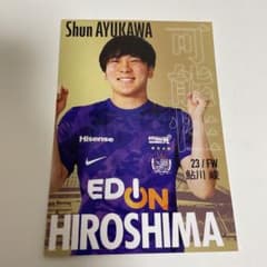 サンフレッチェ広島のサムネイル