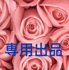 REOファーム@プロフ必読お願いします様専用出品40枚 - メルカリ