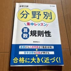 ラタナキリ様 リクエスト 2点 まとめ商品のサムネイル