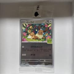 포켓몬 카드 이브이 HP70