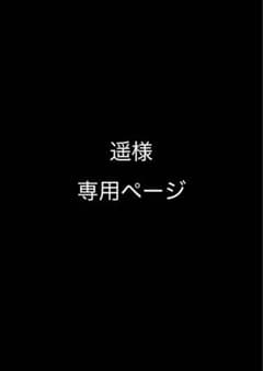 遥様 専用ページのサムネイル