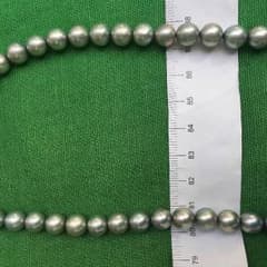 リトルN様専用です 新品 本真珠 三重県産のサムネイル