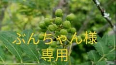 ぶんちゃん様専用です。実山椒200gのサムネイル