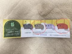 DOLLSSAN CARRY DOG COLLECTION オレンジ・ベージュのサムネイル