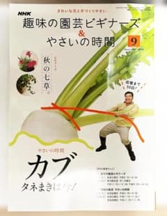 趣味の園芸ビギナーズ&やさいの時間 2008年9月号のサムネイル
