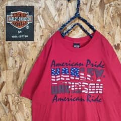 HURLEYDAVITSON　Tシャツ　USA古着　245