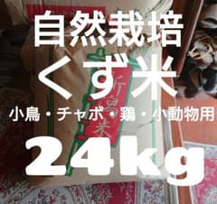自然栽培米 くず米 ３年産 山形県産  庄内米 玄米 24kg ペット・小動物用のサムネイル