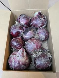 甘くて美味しい赤玉ねぎのサムネイル
