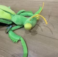 カマキリリュックのサムネイル