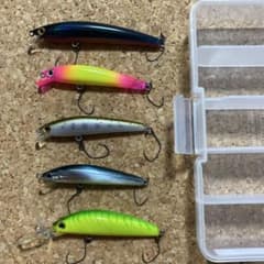 【バラ売り不可】エリアトラウト引退セット エリアトラウト引退セット - メルカリ