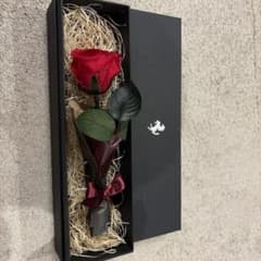 コーンズ ferrari 顧客 プリザーブドフラワー 薔薇 ローズ フェラーリ