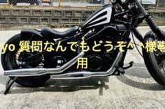 ryo 質問なんでもどうぞ^_^様専用のサムネイル