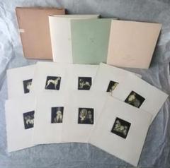 逸品　珍品　山下ムジ　山下清澄　銅版画集　犬　９枚　1970年　限定50部 逸品 珍品 山下ムジ 山下清澄 銅版画集 犬 9枚 1970年 限定50部