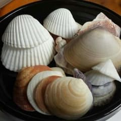 貝殻100グラムのサムネイル