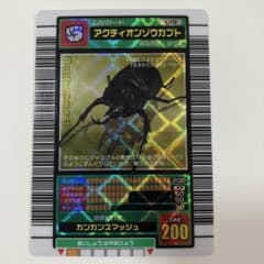 アクティオンゾウカブト 5周年記念 ハードコーティング m78818713595_1.jpg?1747447777