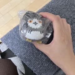 ハイキュー アニマルぬいぐるみマスコット2 ボクトフクロウのサムネイル