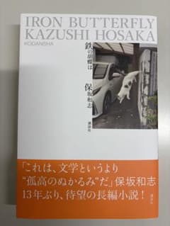 鉄の胡蝶は　保坂和志のサムネイル