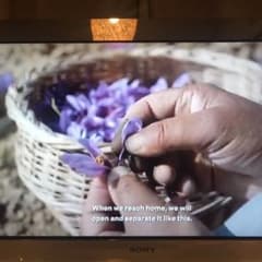 高級香辛料サフラン5gのサムネイル