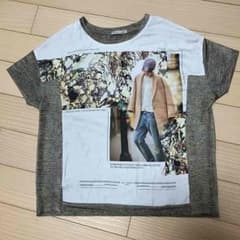 Tシャツ ZARAのサムネイル