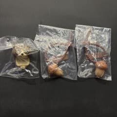 は*ぃ様 おさわり探偵なめこ栽培キット　マルチチャーム　まちぼうけ　3点セットのサムネイル