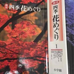 週間 四季 花めぐり 10冊のサムネイル