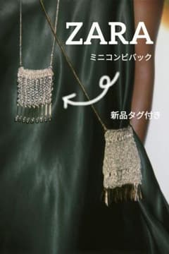 ZARA 新品タグ付き　完売品　ミニコンビバッグ ZARA 新品タグ付き 完売品 ミニコンビバッグ - メルカリ