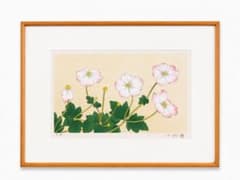 Authentic Nakajima Chinami print, guaranteed authentic, signed, EA print, Japanese anemone, framed, fine art.