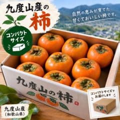 限定価格‼️和歌山県九度山産❤️種無し柿❤️6から10個❤️ - メルカリ