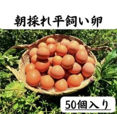 평목 닭 계란 50 개들이