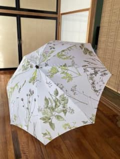 イイダ傘店　押花　折りたたみ傘のサムネイル