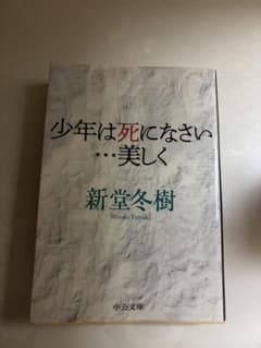 少年は死になさい…美しく 新堂冬樹のサムネイル
