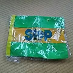 新品！ STEPのシューズケース ランニングのサムネイル