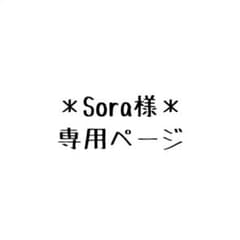 ＊Sora様専用ページ＊のサムネイル