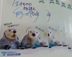 鳥羽水族館 70周年 ラッコ　チラシ　フライヤー　キラ　メイ　 ポスターのサムネイル