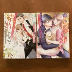 秘密の授かり婚～身を引こうとしたけど、エリート御曹司が逃がしてくれません～1.2 秘密の授かり婚〜身を引こうとしたけど、エリート御曹司が逃して