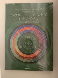 パウル・シュミット式バイオレゾナンス 入門ー機器ー使用法のサムネイル