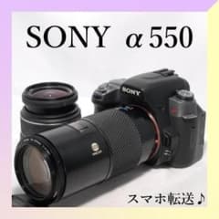 ✨SONY α550✨ダブルレンズ✨初心者おすすめ✨一眼レフカメラ✨ - メルカリ