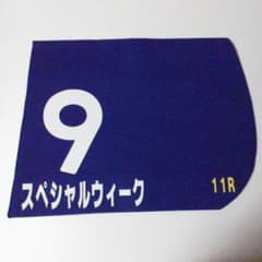 1999年天皇賞(秋) スペシャルウィーク レプリカ ゼッケン 未使用競馬新聞等 1999年 天皇賞(秋) スペシャルウィーク レプリカゼッケン 未使用競馬