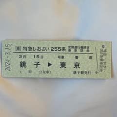 m78884430355_1.jpg?1710487680