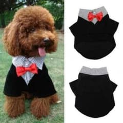 犬用タキシードのサムネイル