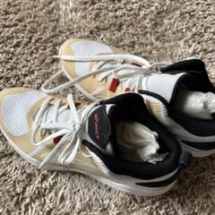 asics NOVA FLOW バスケットシューズ　27cmのサムネイル