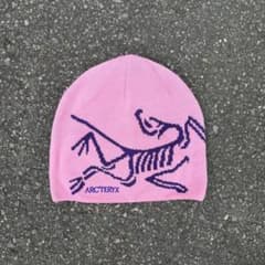 y2k Arc'Teryx beanie ビーニー 美品 archive - メルカリ