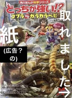 どっちが強い!? コブラvsガラガラヘビ ガブリ!猛毒アタックのサムネイル