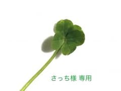 アンパンマン バスチェア おふろチェアのサムネイル