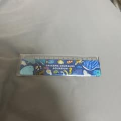 美ら海水族館 定規のサムネイル