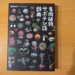 다육 식물 선인장 사전 Bplants